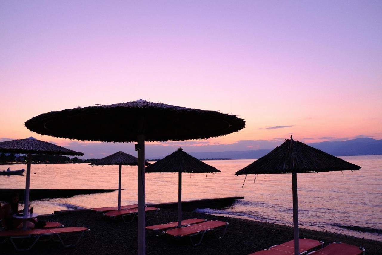 Tsertos Apartments Kamena Vourla Dış mekan fotoğraf