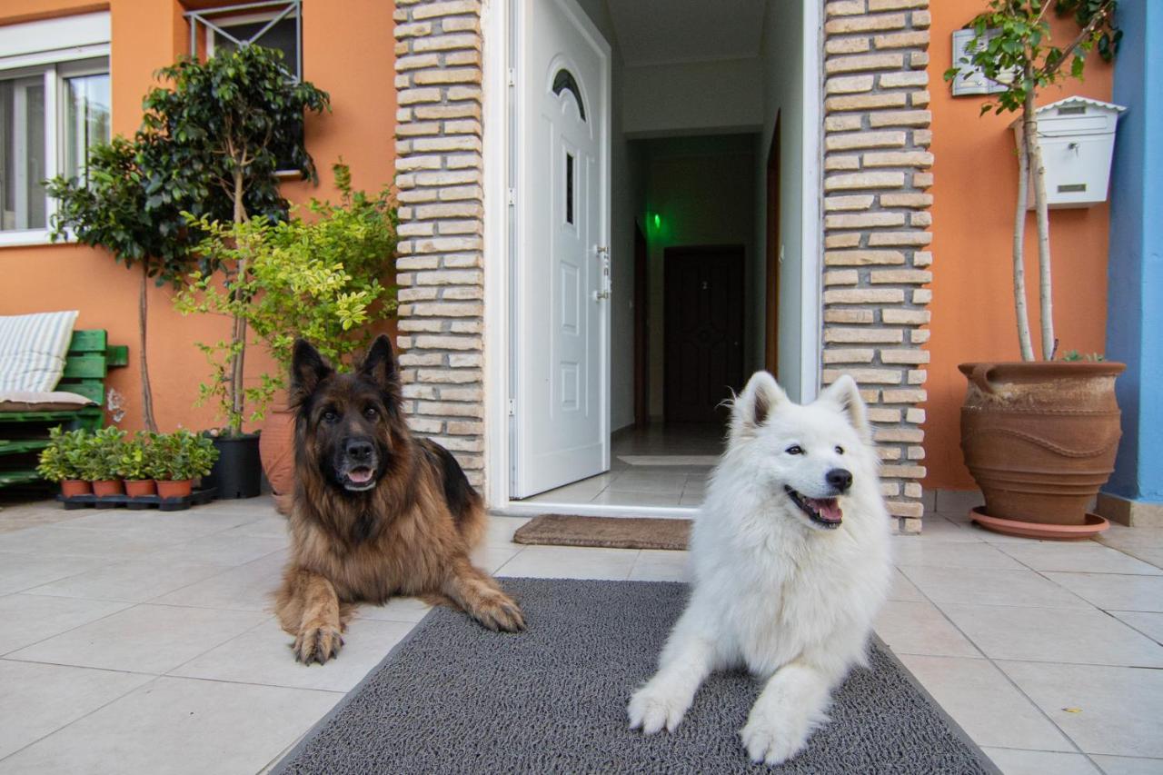 Tsertos Apartments Kamena Vourla Dış mekan fotoğraf